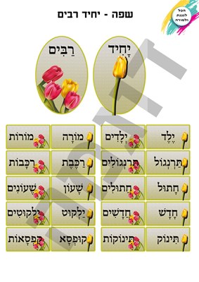 יחיד רבים